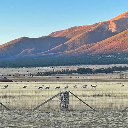 Buena Vista Mountain Retreat - Ultimate Privacy With Spa & Unbeatable Views Buitenkant foto